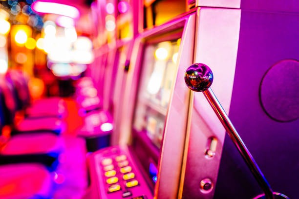 Fishing Arcade leaderboard and tournament standings